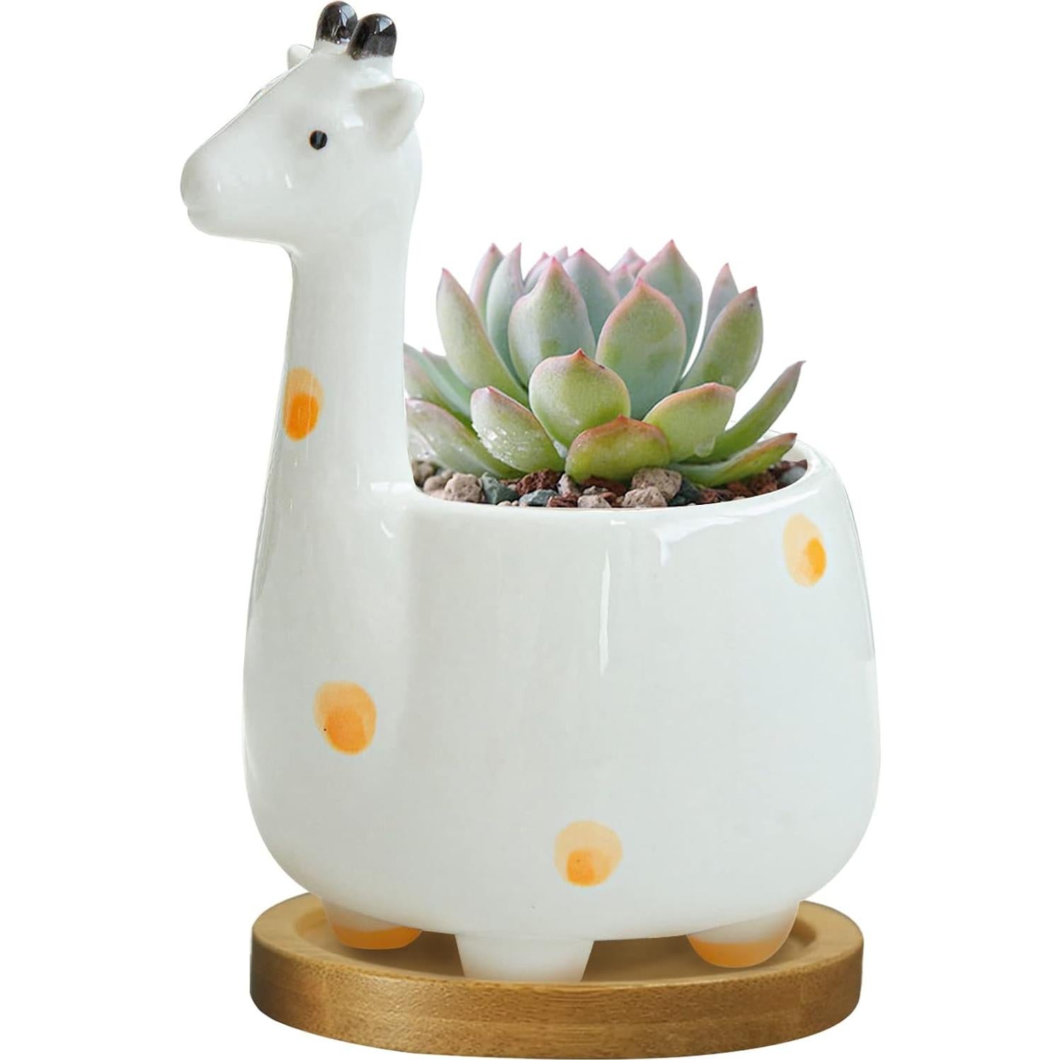 Maceta de Suculentas Jirafa Cerámica GeLive con Drenaje