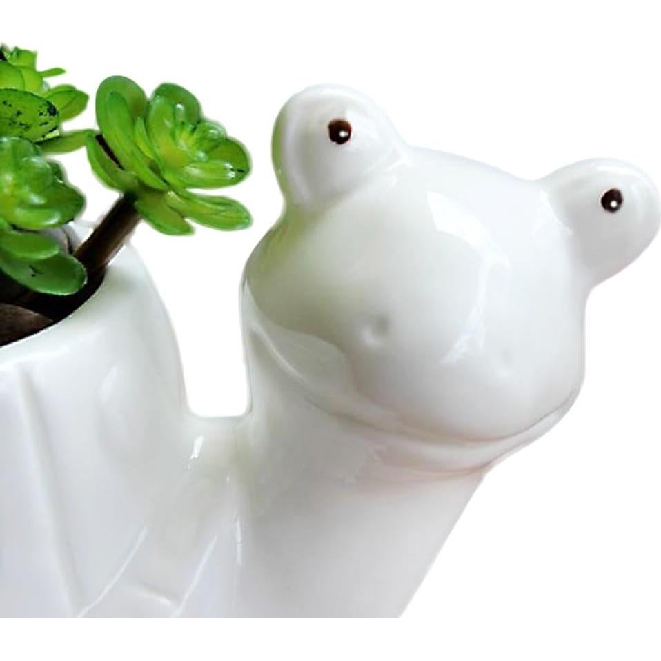 Maceta Tortuga GeLive Blanca 14x8.5 cm para Suculentas