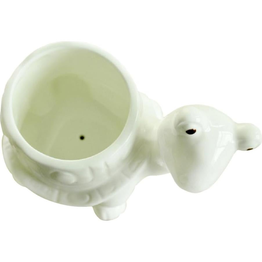 Maceta Tortuga GeLive Blanca 14x8.5 cm para Suculentas