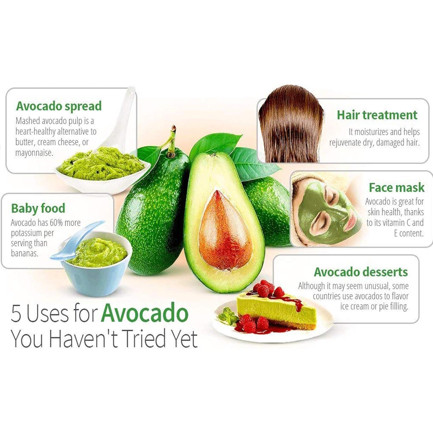 Kit de Crecimiento de Aguacate AvoSeedo - Maceta Flotante 12cm