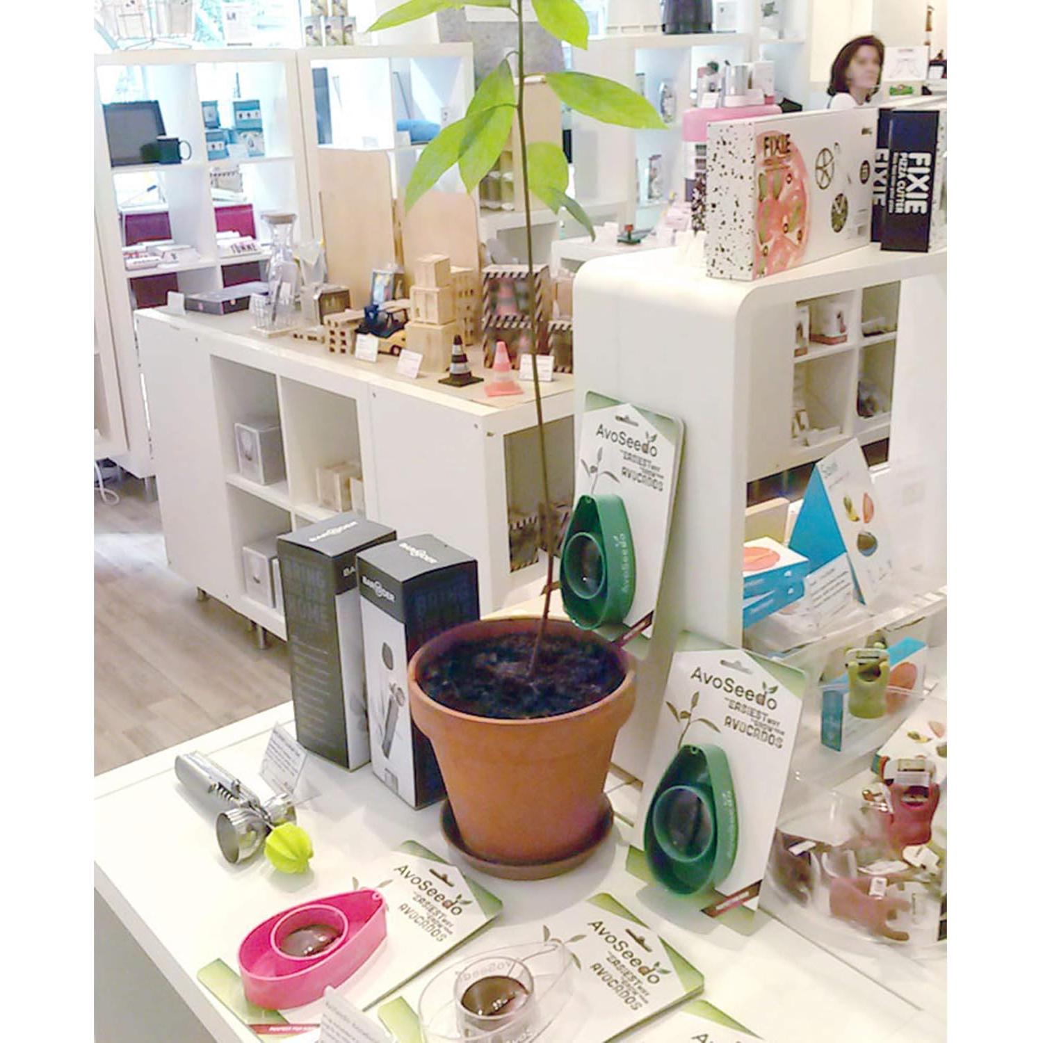 Kit de Crecimiento de Aguacate AvoSeedo - Maceta Flotante 12cm