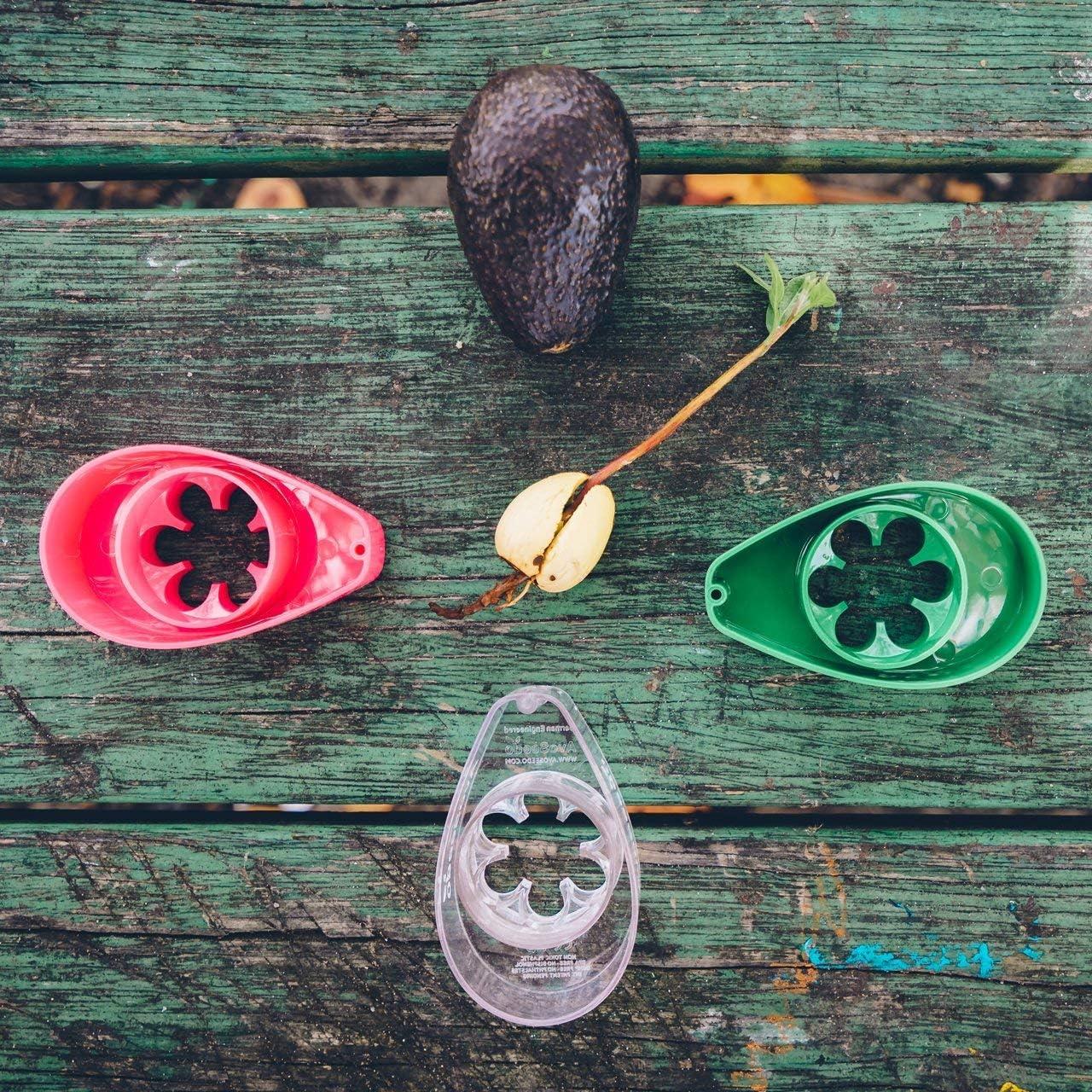 Kit de Crecimiento de Aguacate AvoSeedo - Maceta Flotante 12cm