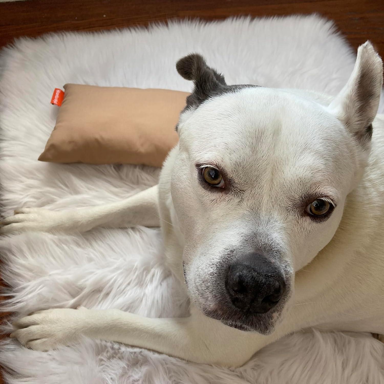 Almohada Microfibra Urban Infant Pipsqueak Tiny 27.94x17.78cm