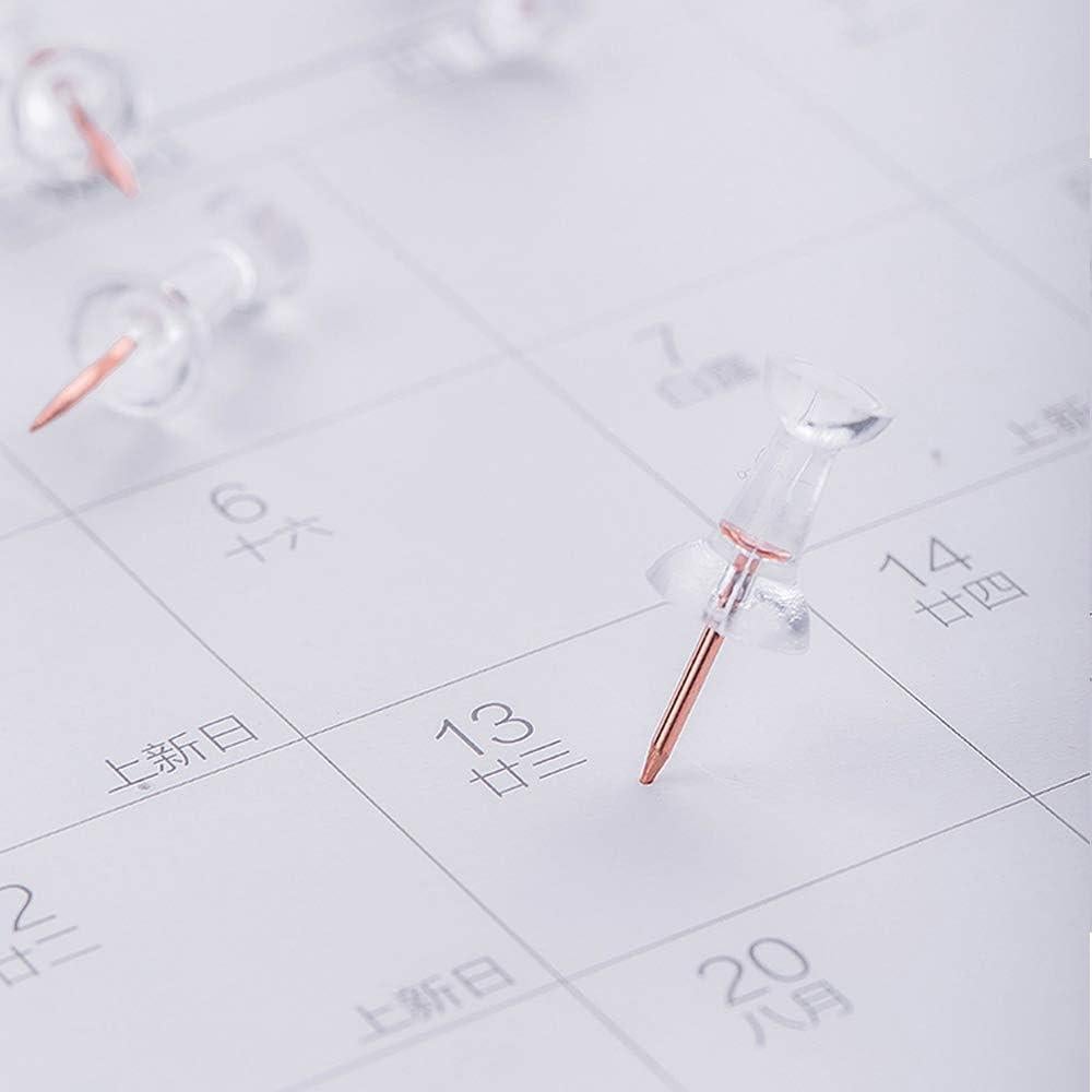 Juego de Clips de Papel y Carpeta CREECHWA Rosa Oro 52 Piezas