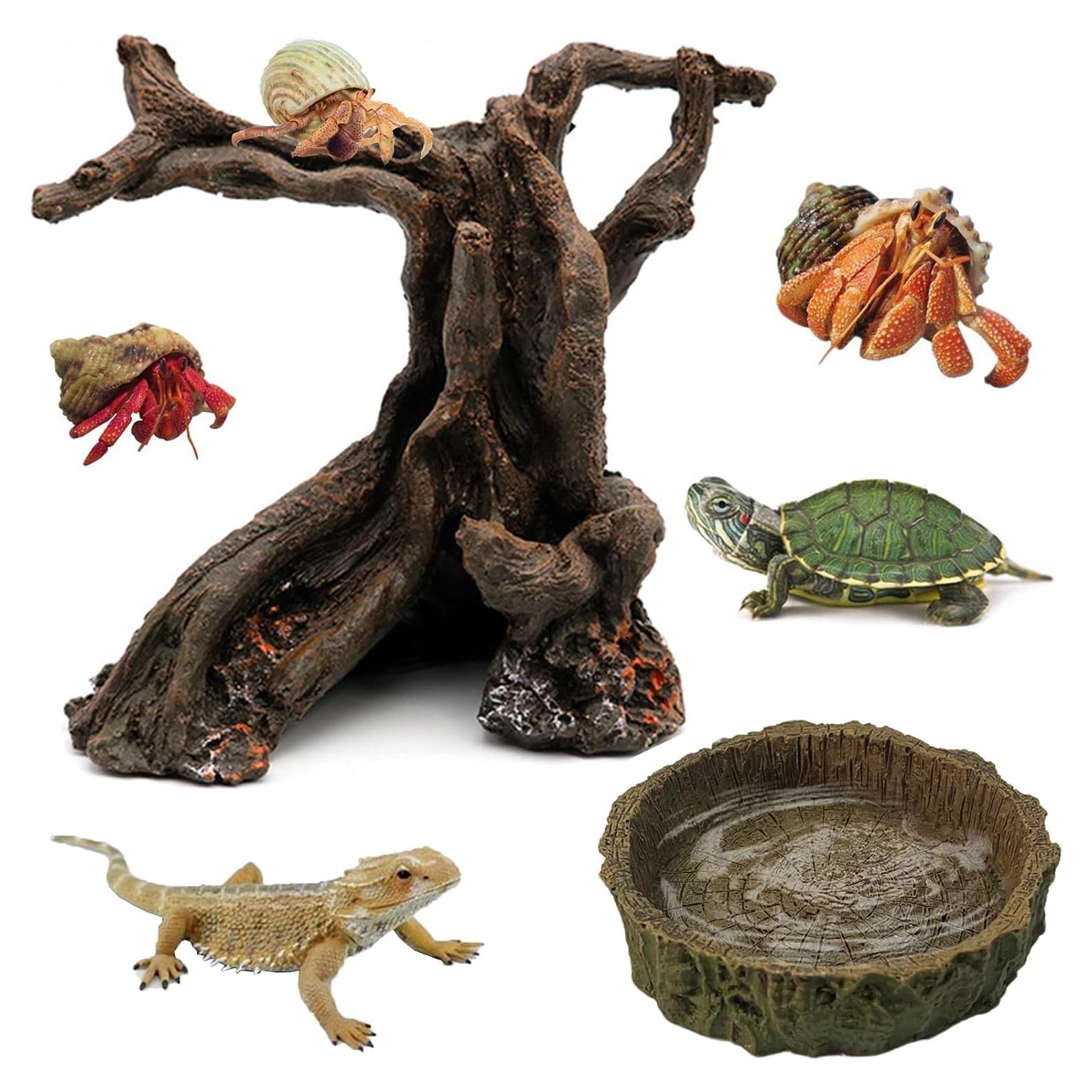 Juguete de Escalada y Escondite para Cangrejo Ermitaño Rainmae