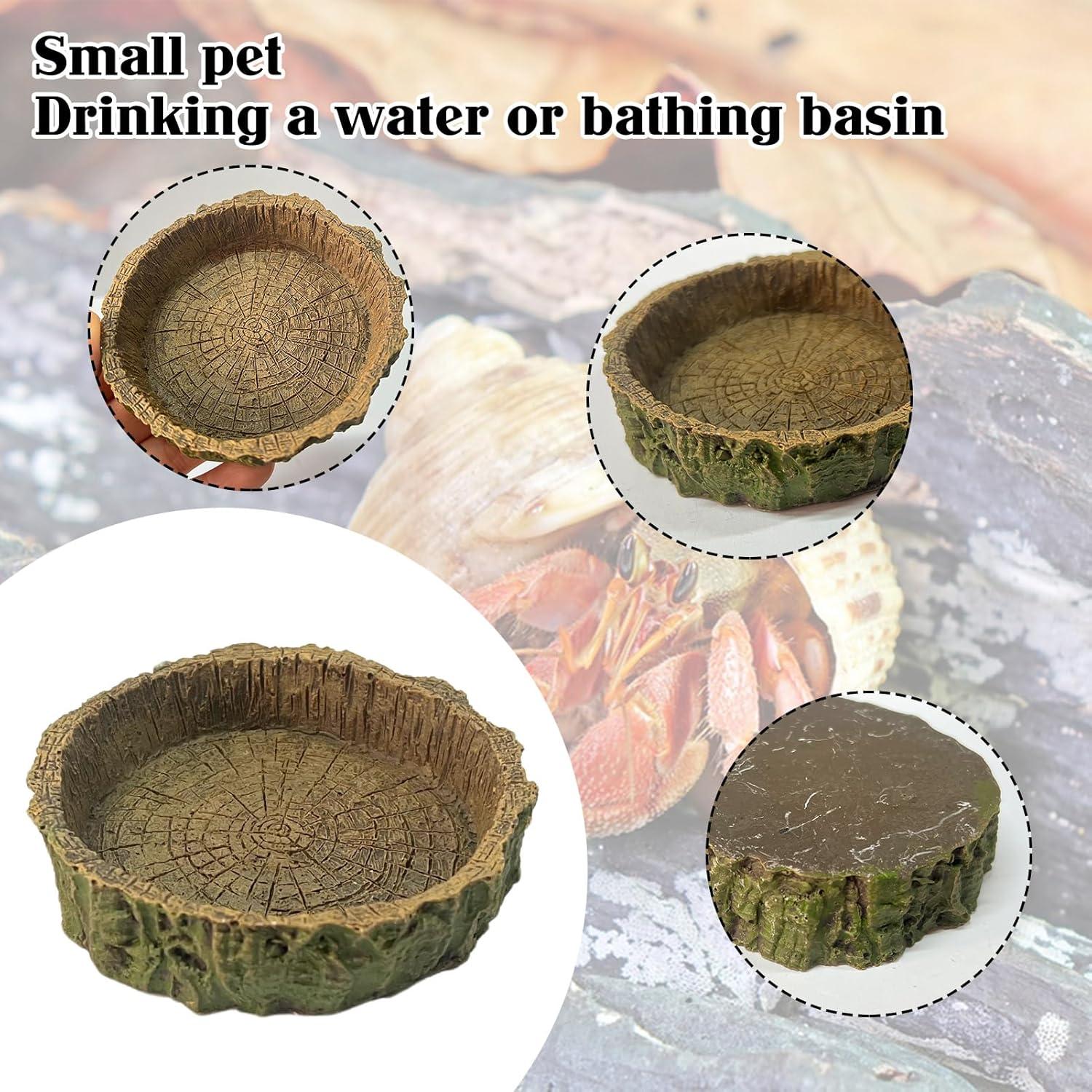 Juguete de Escalada y Escondite para Cangrejo Ermitaño Rainmae