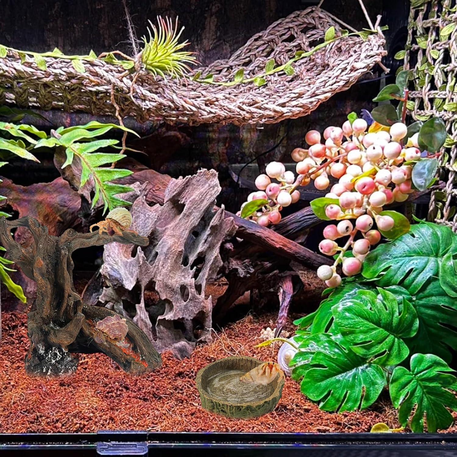 Juguete de Escalada y Escondite para Cangrejo Ermitaño Rainmae