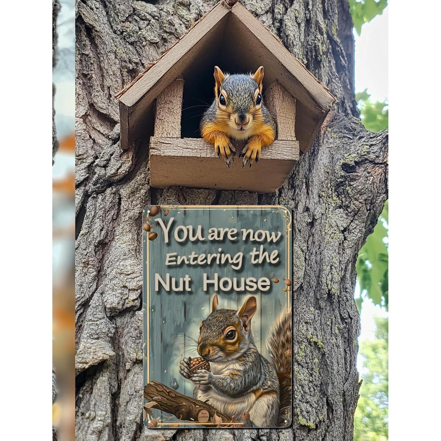 Señal de Bienvenida Ardillas Vivibride 30x20 cm Decorativa