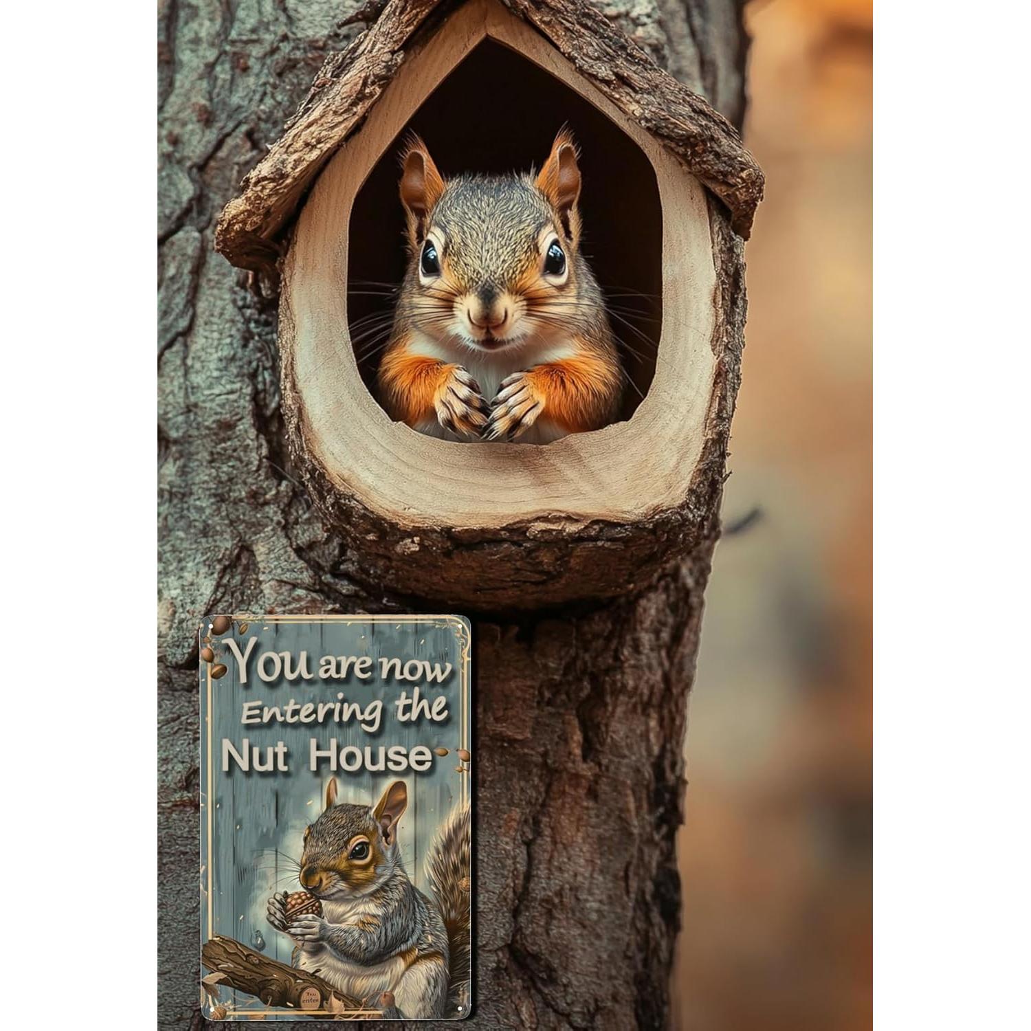 Señal de Bienvenida Ardillas Vivibride 30x20 cm Decorativa