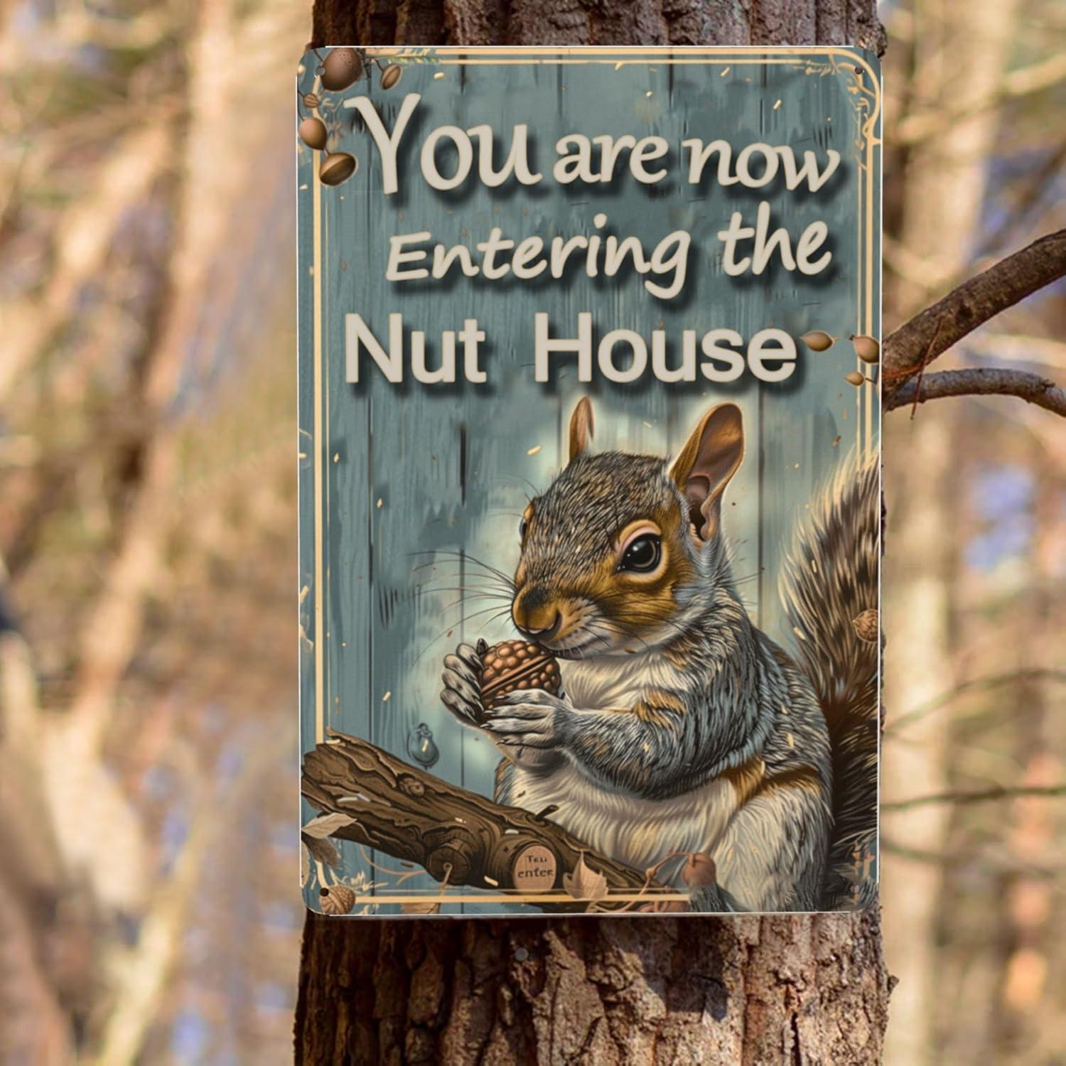 Señal de Bienvenida Ardillas Vivibride 30x20 cm Decorativa