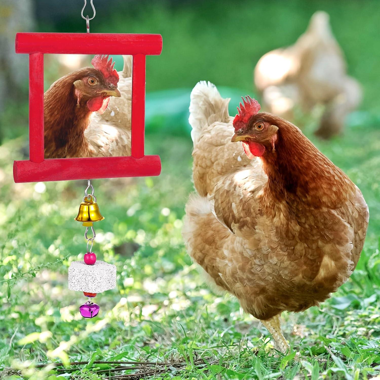 Juego de Juguetes para Gallinas Lnngub - Espejo y Piedras Molienda