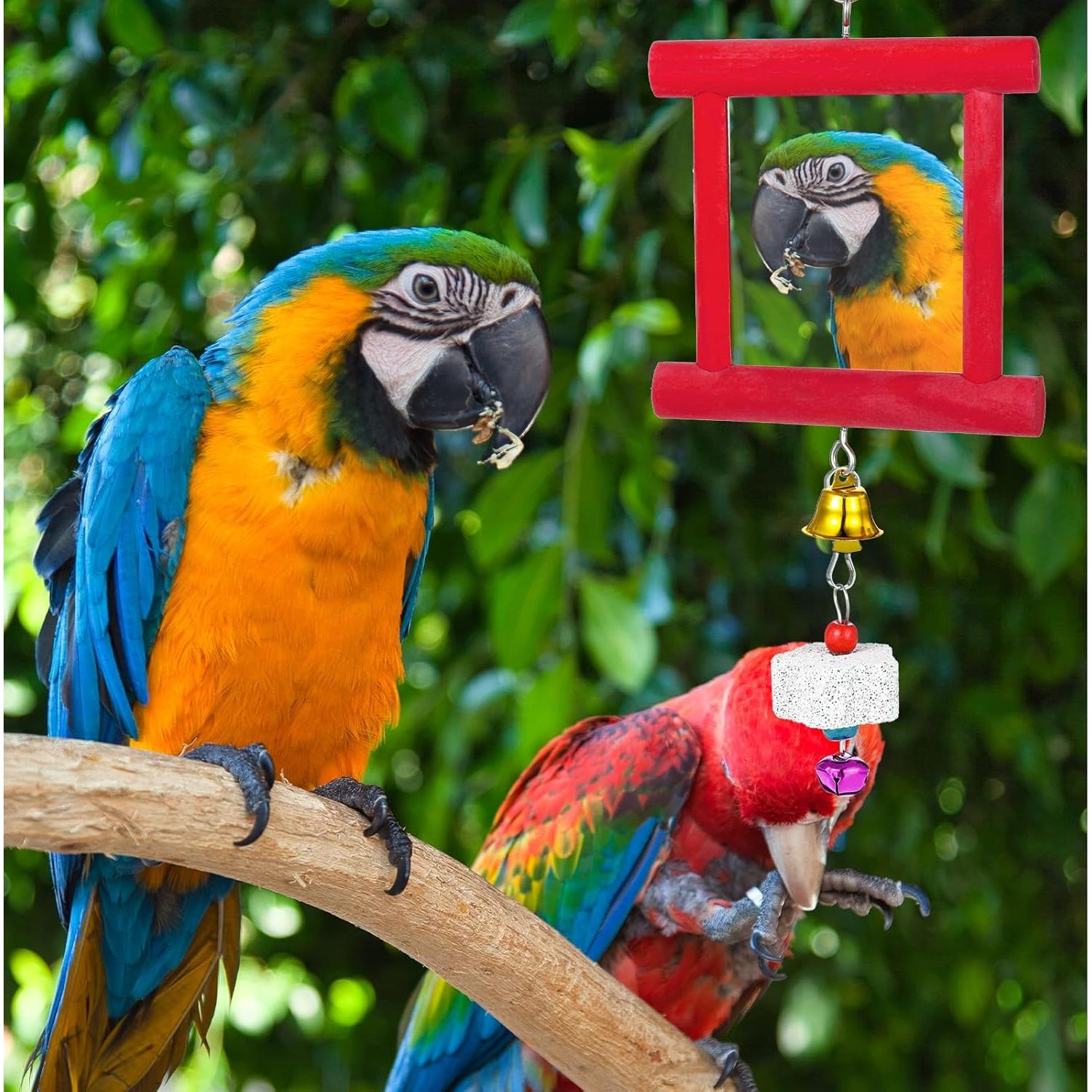 Juego de Juguetes para Gallinas Lnngub - Espejo y Piedras Molienda