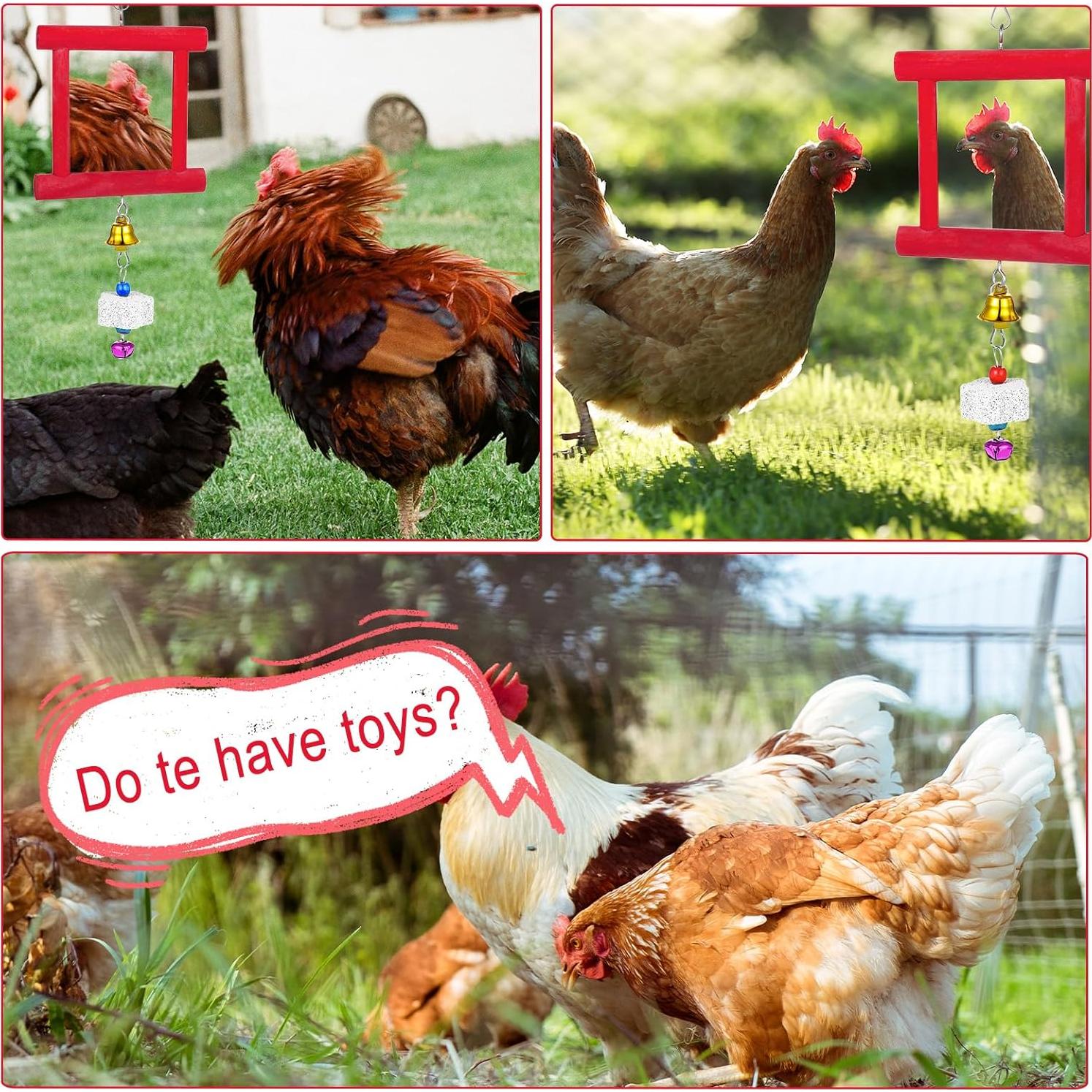 Juego de Juguetes para Gallinas Lnngub - Espejo y Piedras Molienda