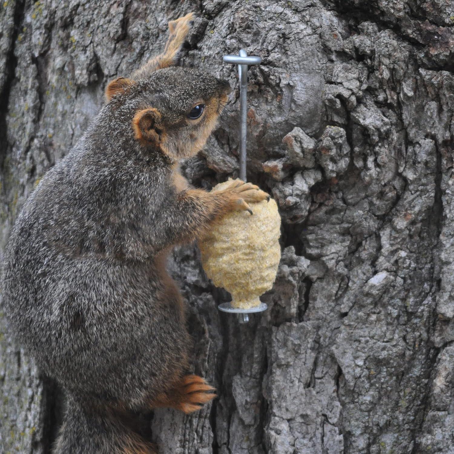 Recarga Squirrelog C&S de Maíz Dulce 907g - 2 Unidades