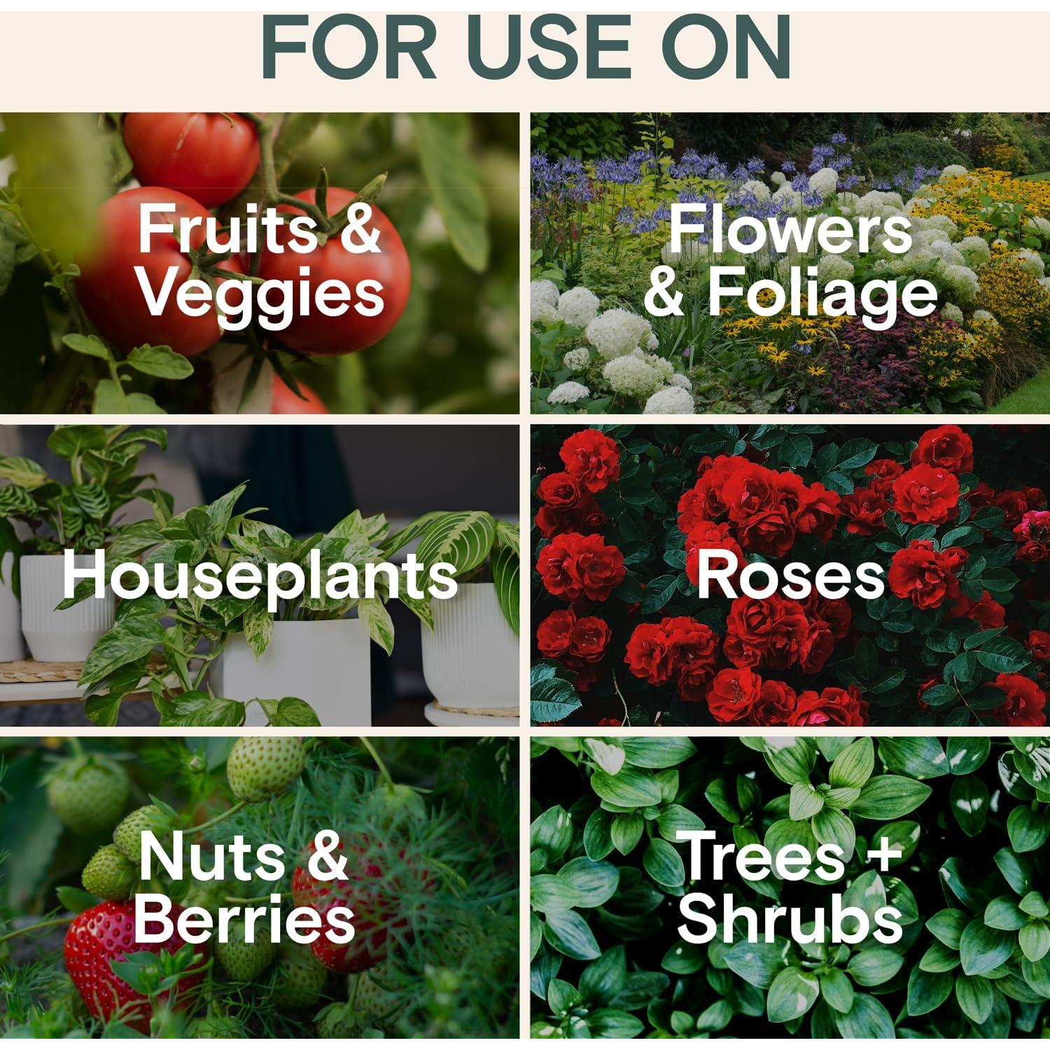 Insecticida y Fungicida Orgánico Arber 500ml - Control Plagas y Moho