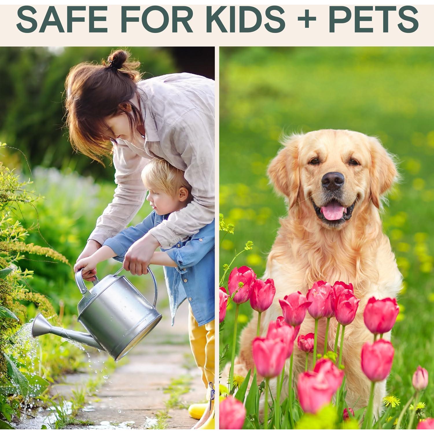 Insecticida y Fungicida Orgánico Arber 500ml - Control Plagas y Moho