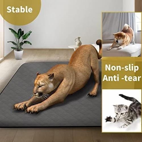 Alfombrilla Lavable CoolShields 2 Piezas 86x132 cm Impermeable