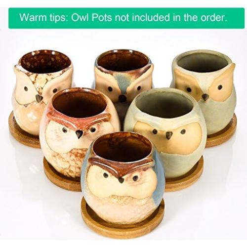 Bandejas de Bambú Frienda para Macetas de 6.4 cm - Paquete de 6