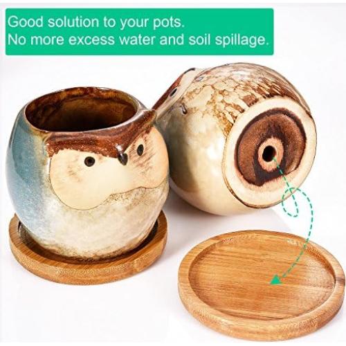 Bandejas de Bambú Frienda para Macetas de 6.4 cm - Paquete de 6