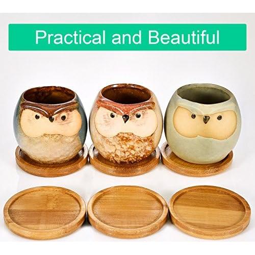 Bandejas de Bambú Frienda para Macetas de 6.4 cm - Paquete de 6