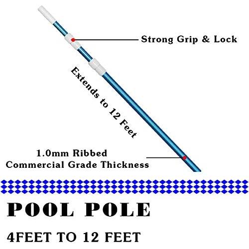 Palo Telescópico de Piscina POOLWHALE 3.66 m Aluminio Azul