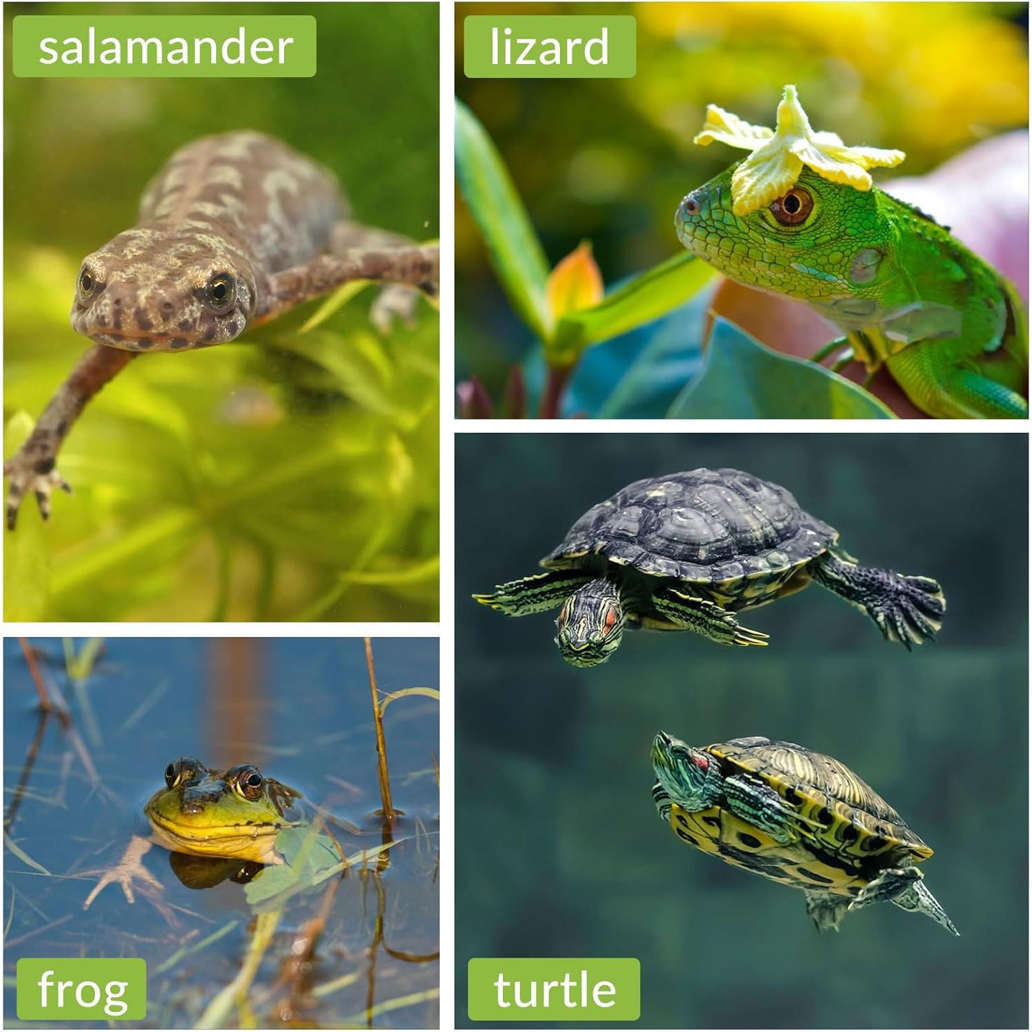 Plataforma de Sol para Tortugas BigTron Mediana con Césped Artificial