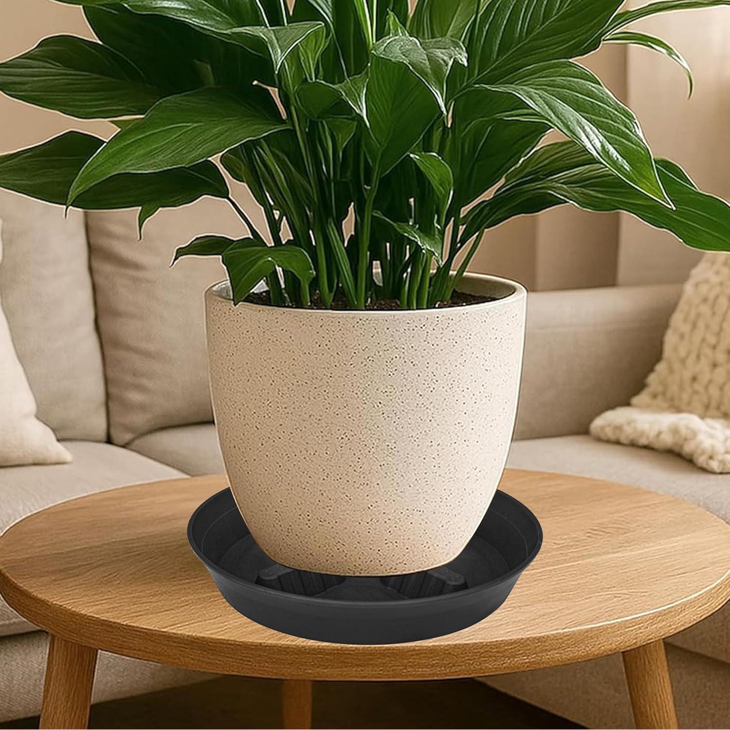Paquete de 4 platos para plantas 20-43 cm Feyvdzv