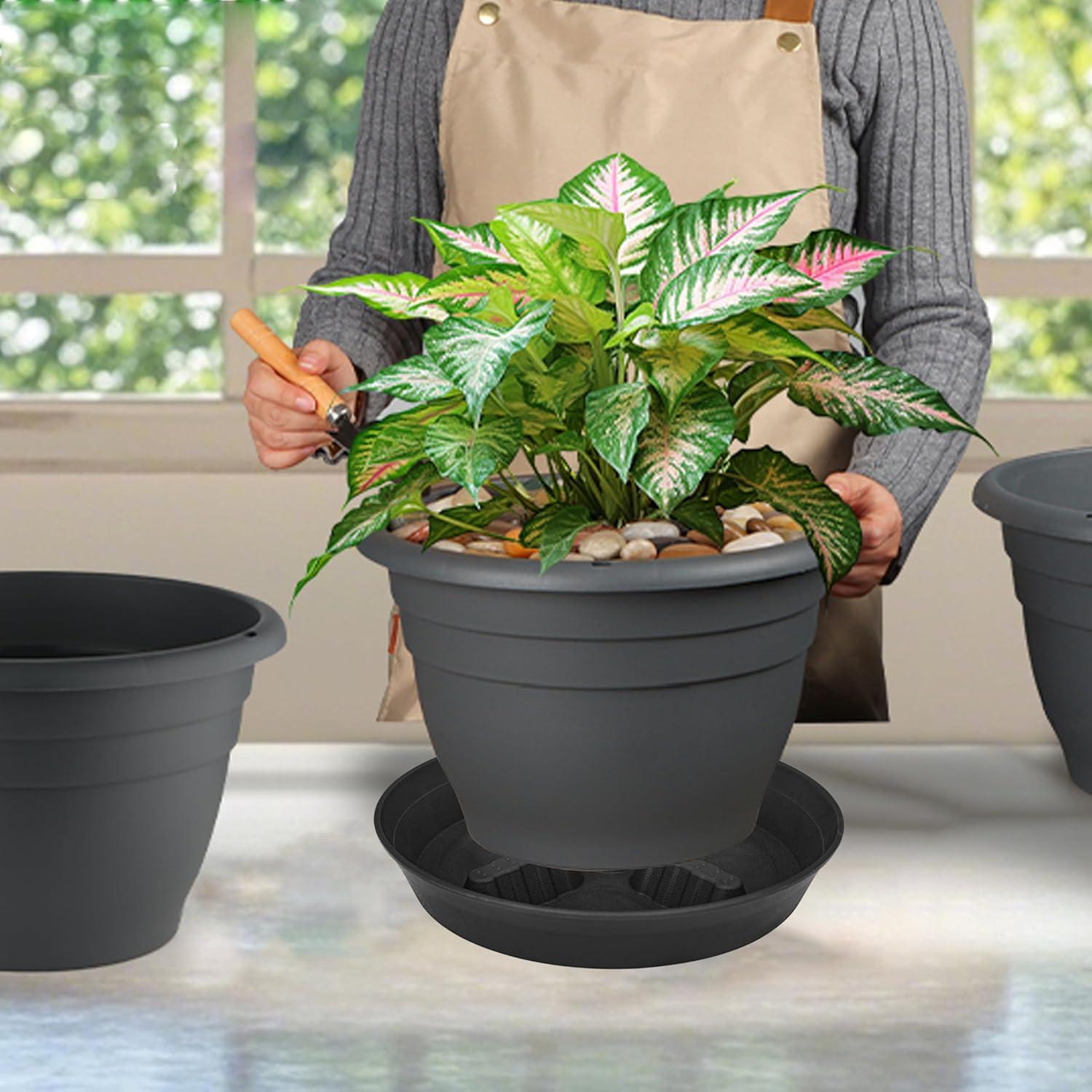 Paquete de 4 platos para plantas 20-43 cm Feyvdzv