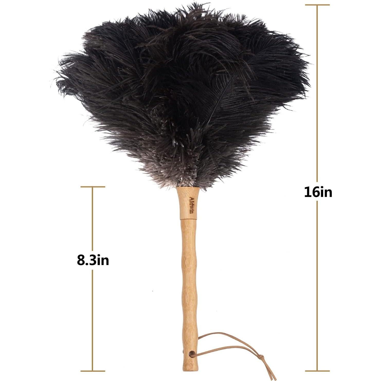 Duster de Plumas de Avestruz Aldwin 40 cm Mango de Madera Ecológico