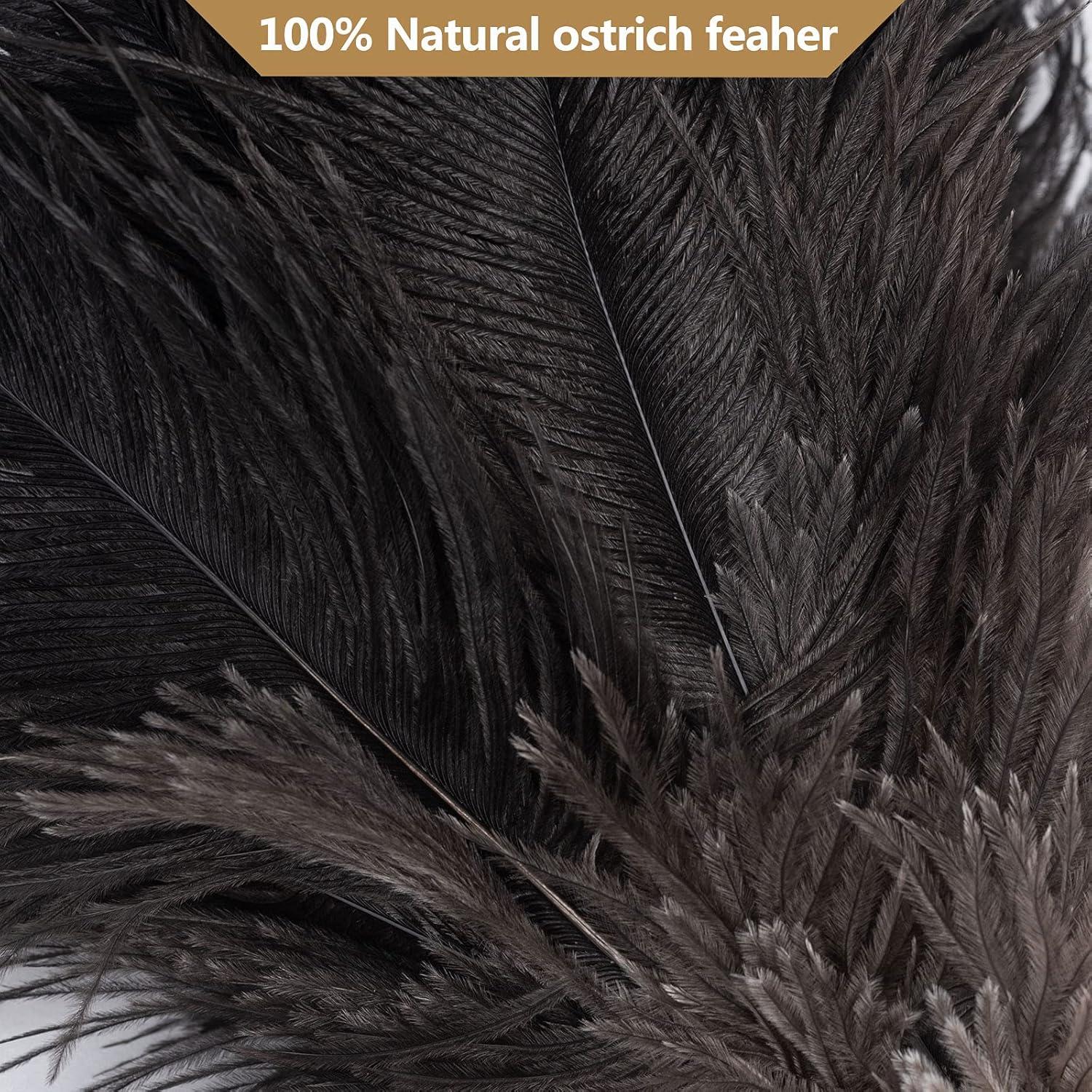 Duster de Plumas de Avestruz Aldwin 40 cm Mango de Madera Ecológico