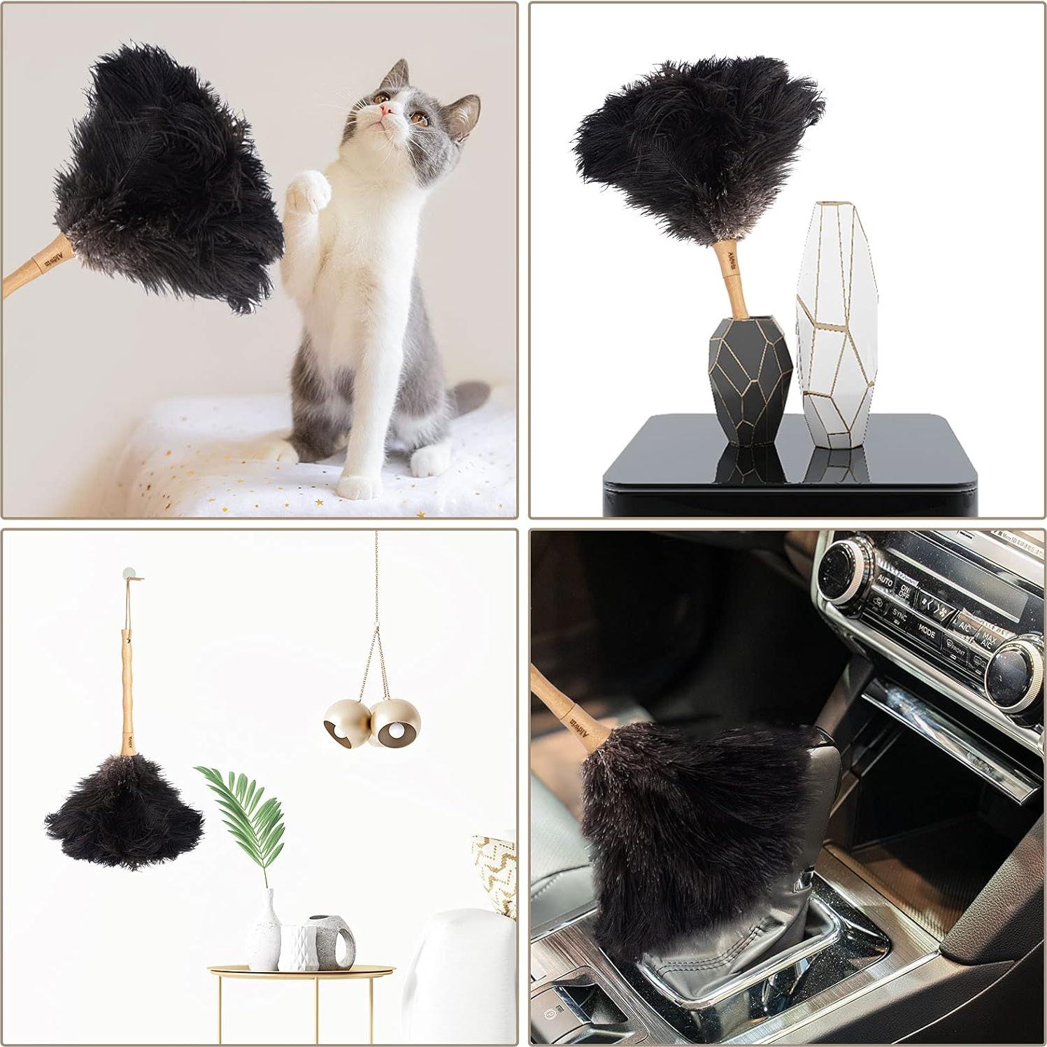 Duster de Plumas de Avestruz Aldwin 40 cm Mango de Madera Ecológico