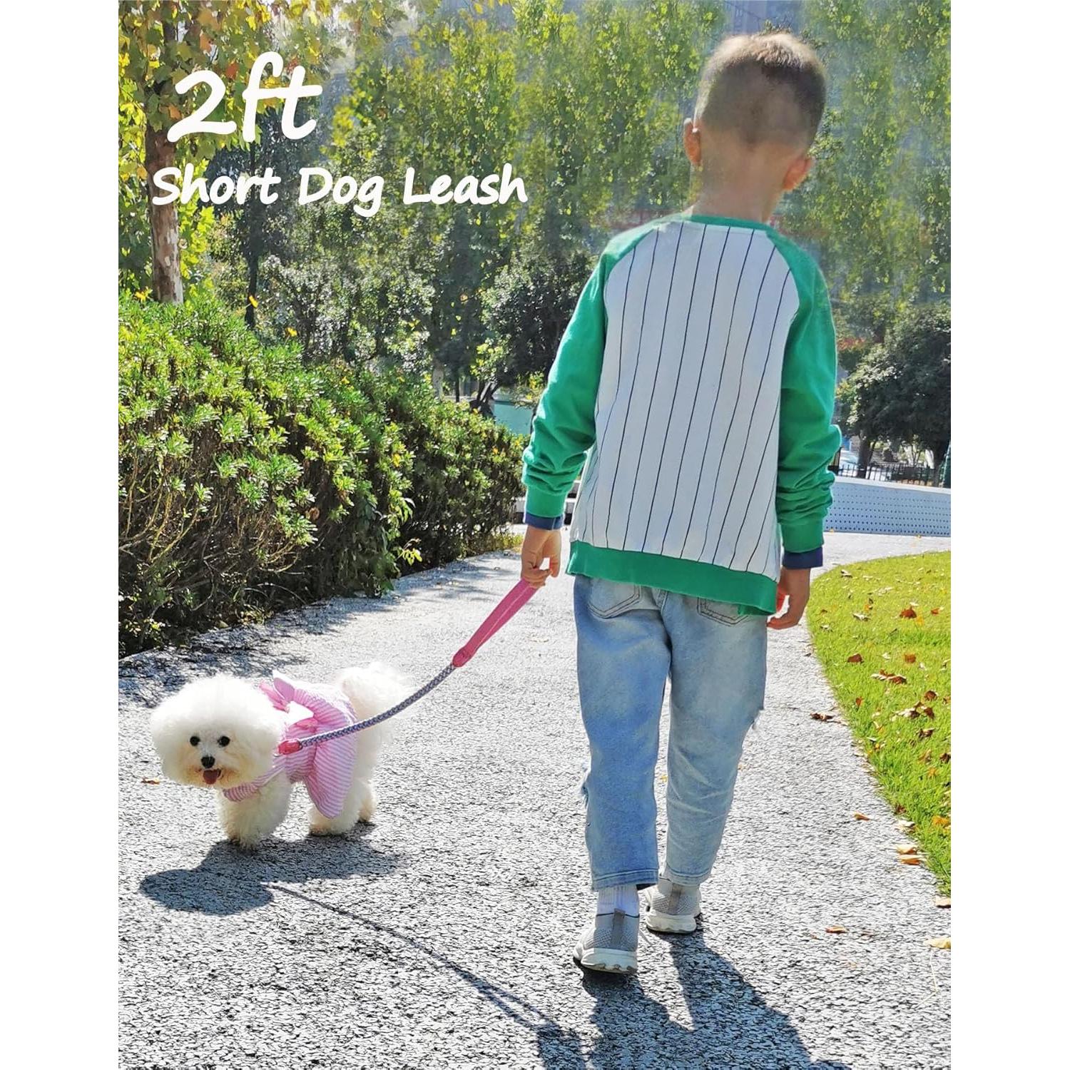 Correa Reflectante para Perros Mycicy 60 cm Nylon Resistente Rosa