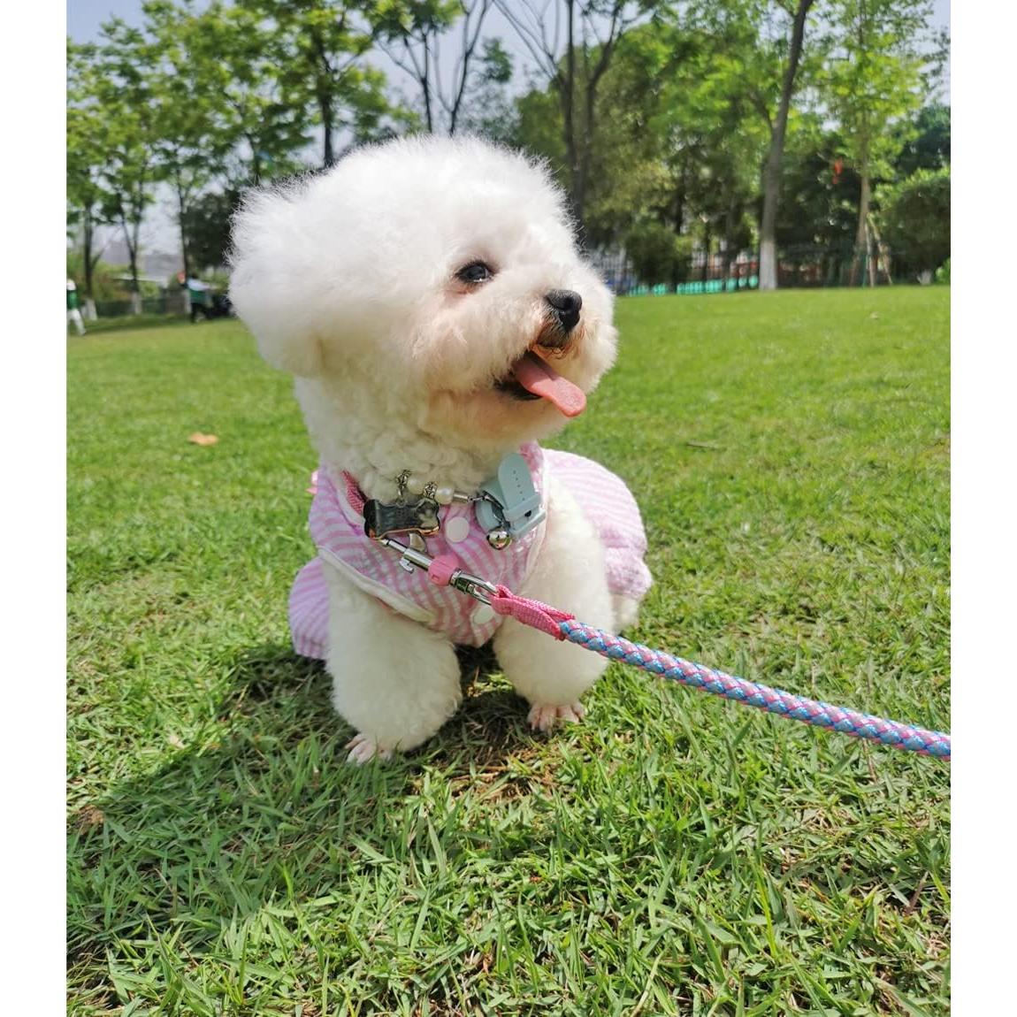 Correa Reflectante para Perros Mycicy 60 cm Nylon Resistente Rosa