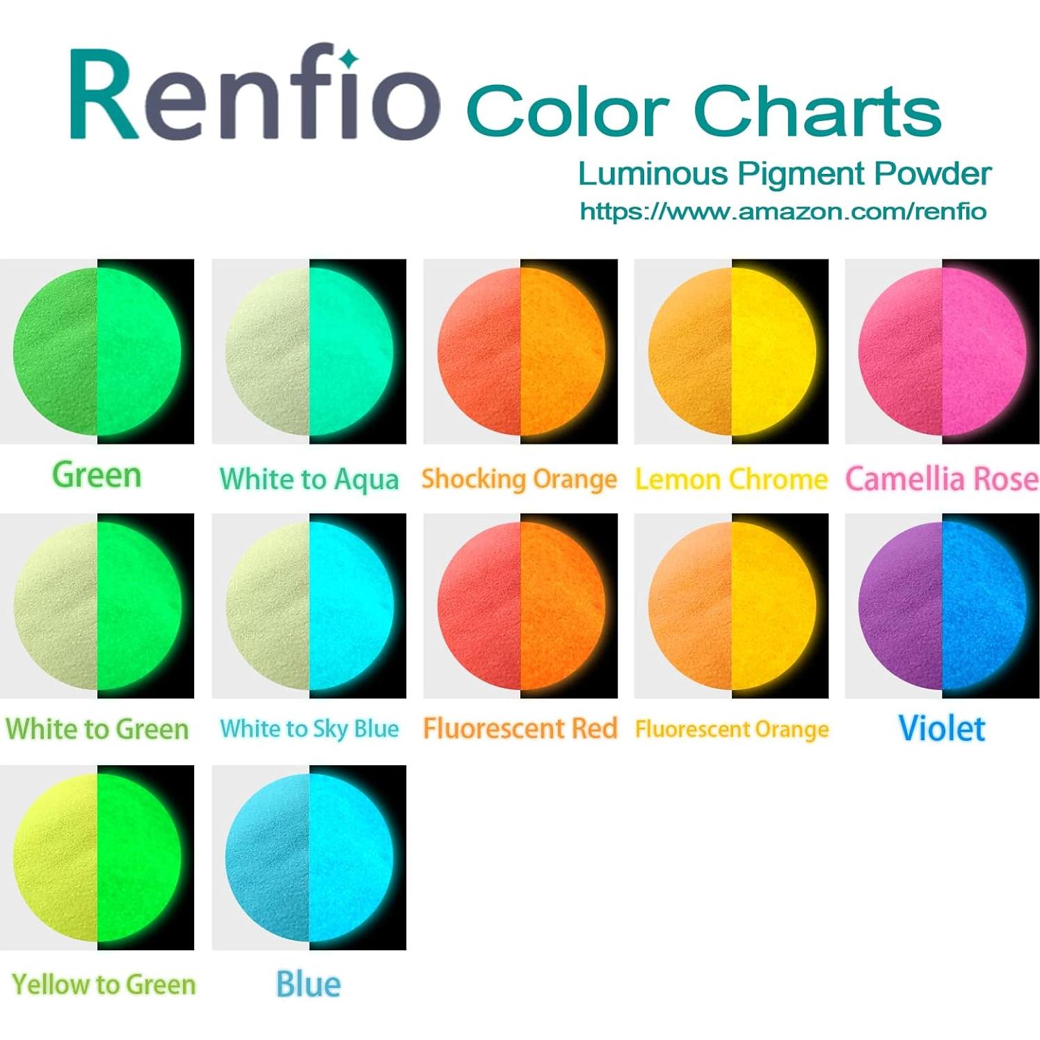 Conjunto de Polvo Brillante en la Oscuridad Renfio 12 Colores 276g