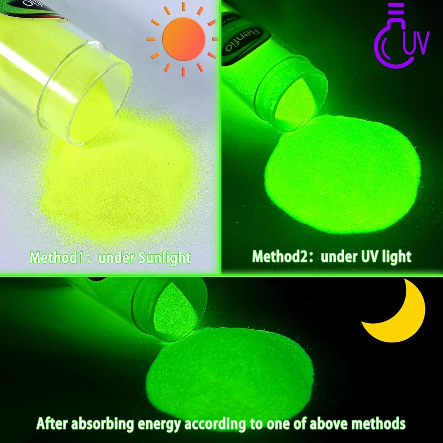 Conjunto de Polvo Brillante en la Oscuridad Renfio 12 Colores 276g