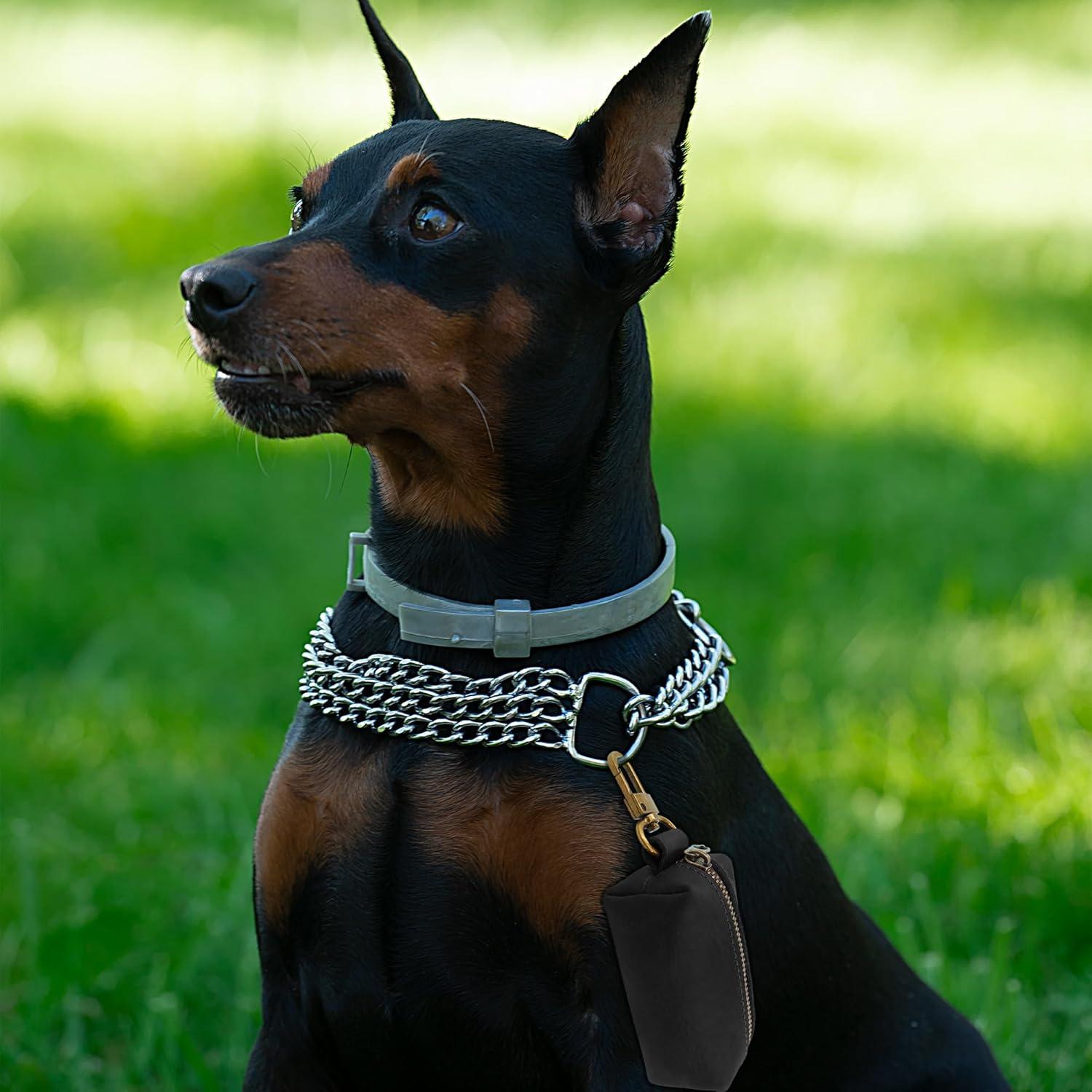 Soporte de Bolsa de Desechos de Perro HIFA - Cuero Negro Premium