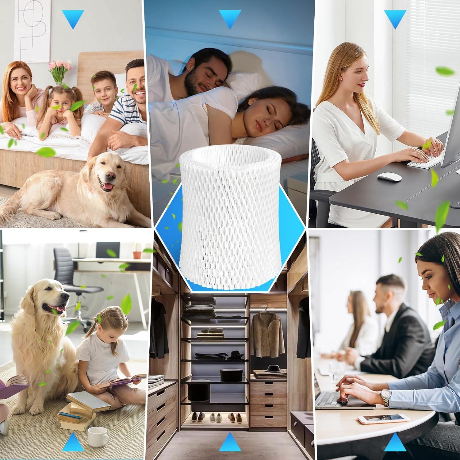 Filtro de Reemplazo Humidificador Canopy 6 Pack Eficiente