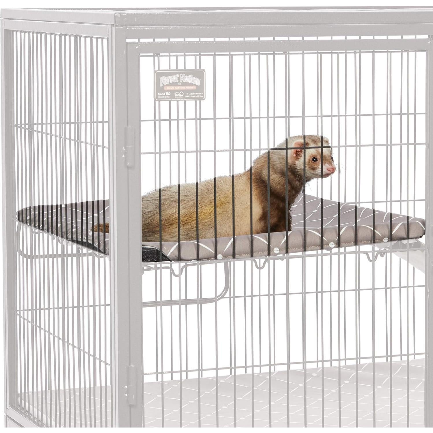 Kit de Accesorios Ferret Nation MidWest Homes - 2 Cubiertas y Hamaca