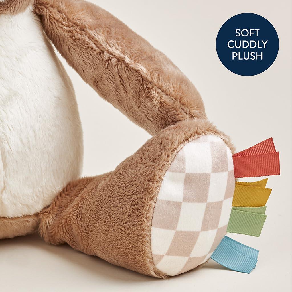 Juguete de Peluche Itzy Ritzy Oso Suave para Bebés y Niños