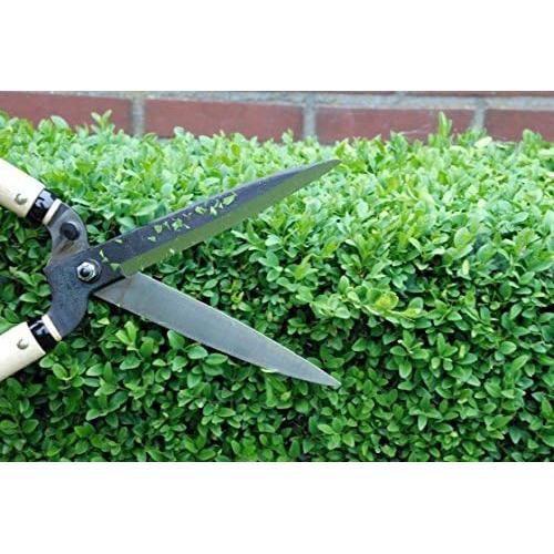 Tijeras de Podar Okatsune Tipo 55 - Acero Especial Bypass