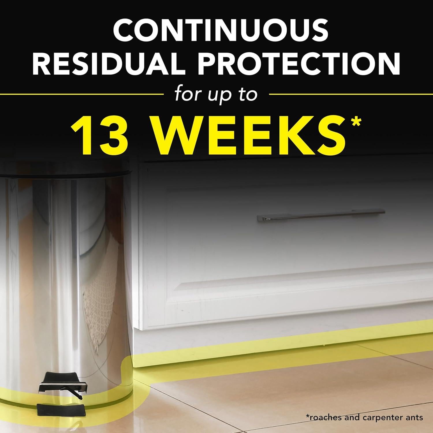 Raid Ant and Roach Killer, Fragrance Free, 17.5 OZ