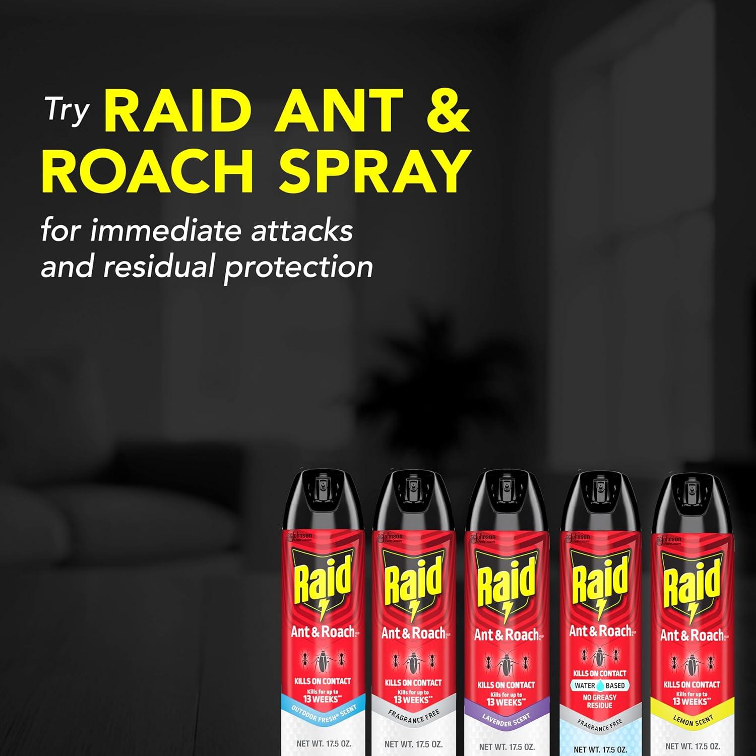 Raid Ant and Roach Killer, Fragrance Free, 17.5 OZ