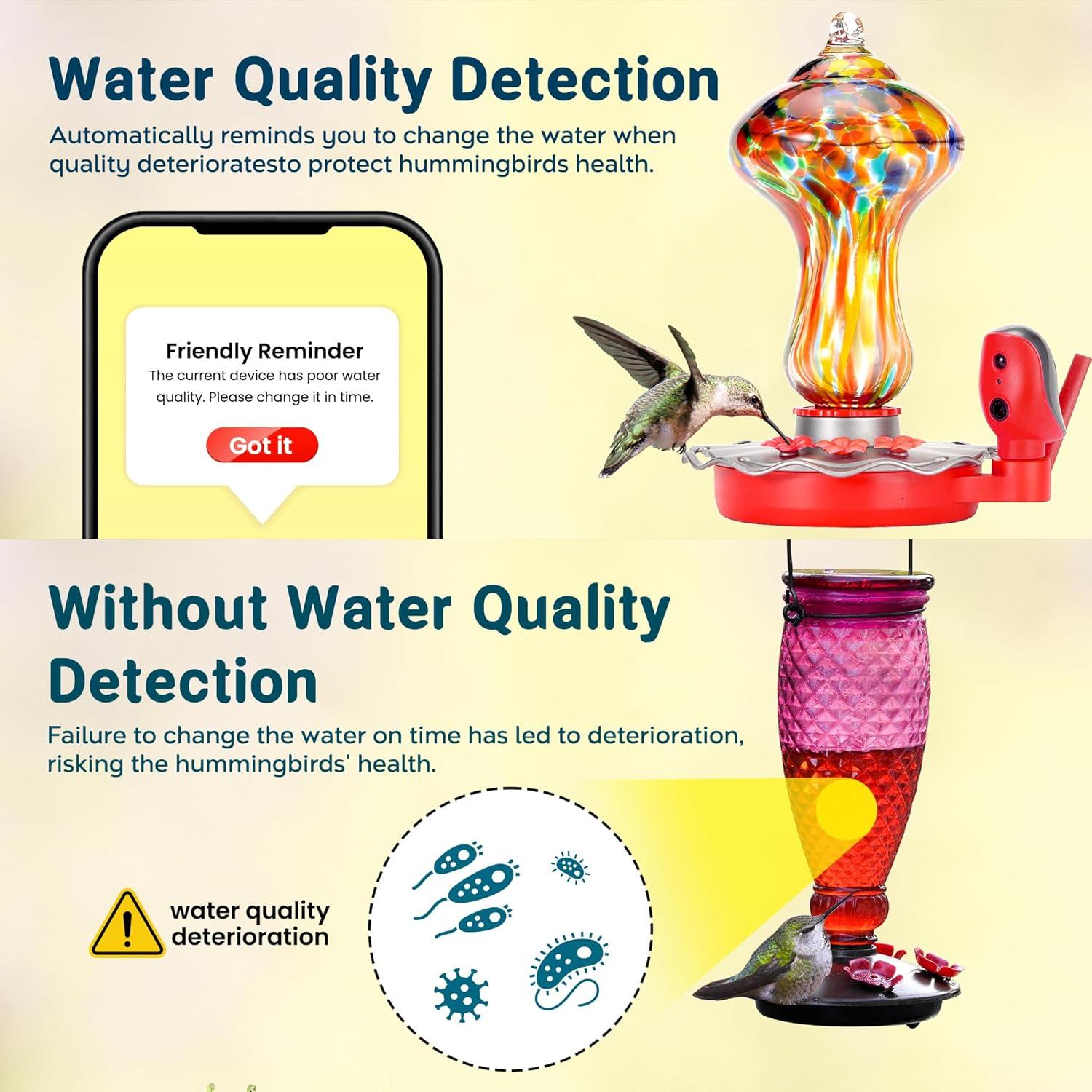 Alimentador de Colibríes BBPECO con Cámara HD 2K Solar