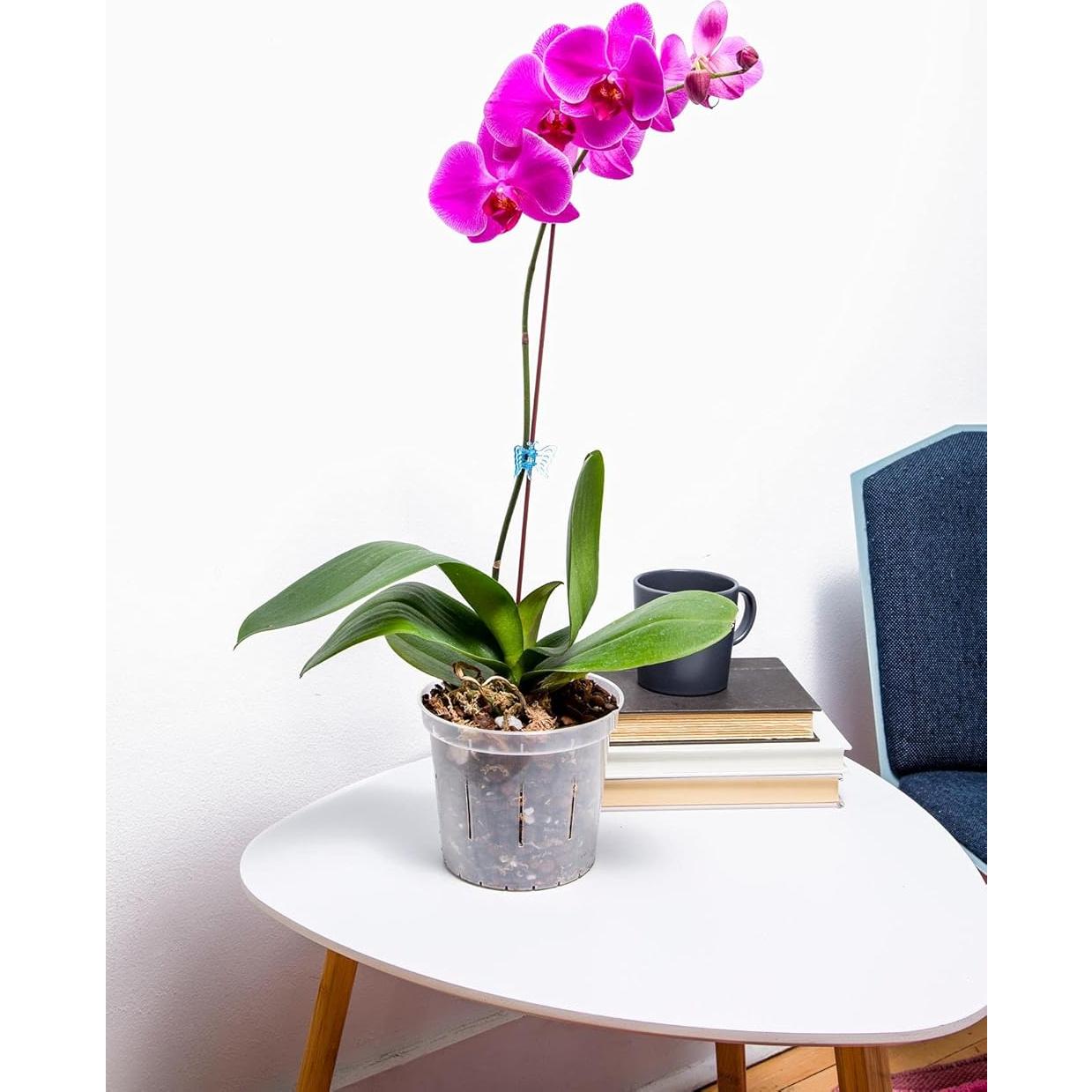 Kit de Inicio para Orquídeas rePotme - Maceta, Sustrato y Fertilizante