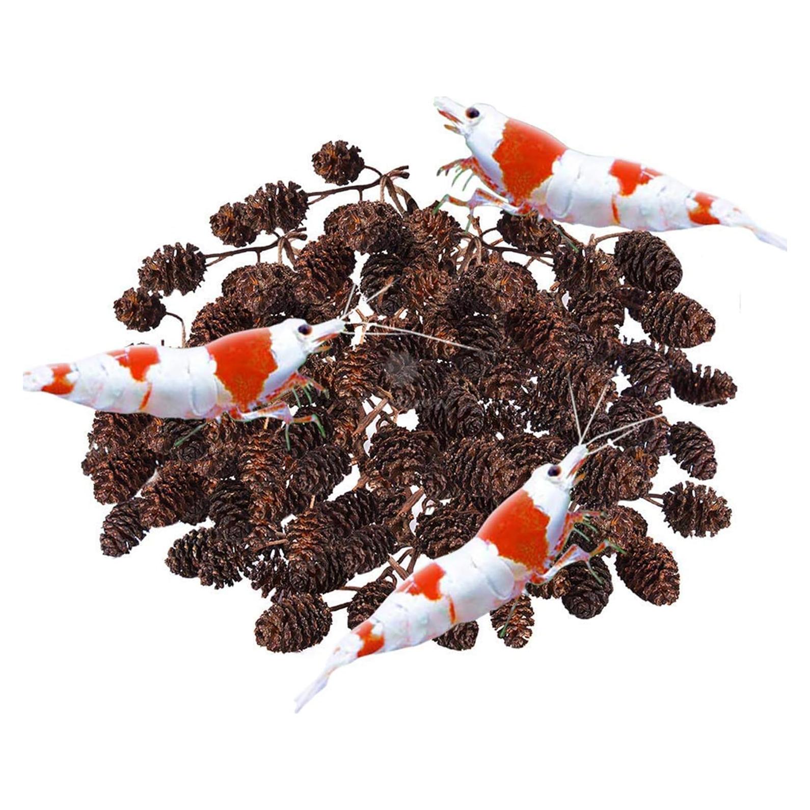 Conos de Aliso SunGrow 50 Pcs - Acondicionador de Agua para Camarones