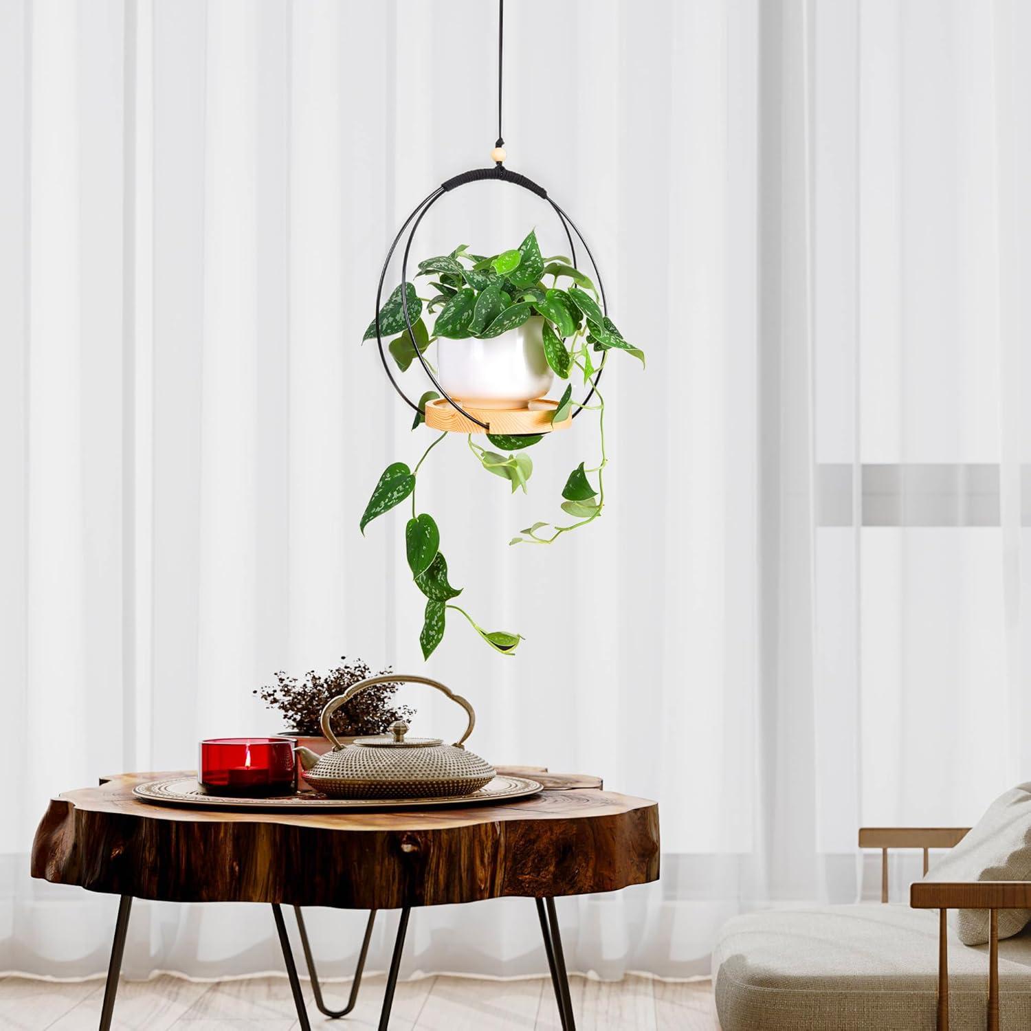 Colgador de Plantas de Interior Dalian - Base de Madera 2 Piezas Negras