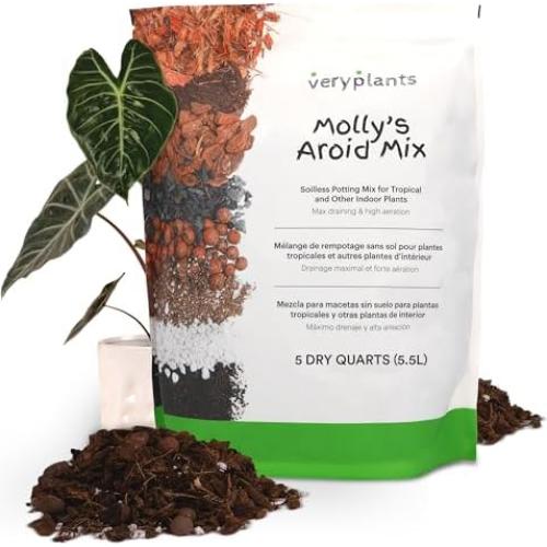 Mezcla Aroid de Molly 5 Cuartos - Maceta Premium Sin Suelo