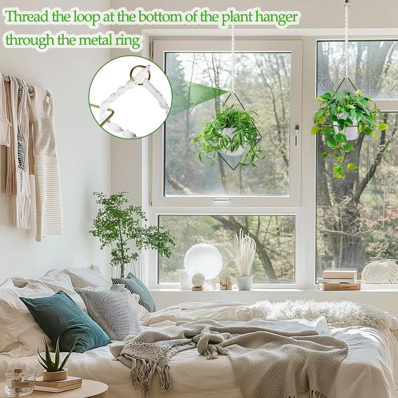 Macetas Colgantes Autorriego Koalaime 15.24 cm - 2 Piezas