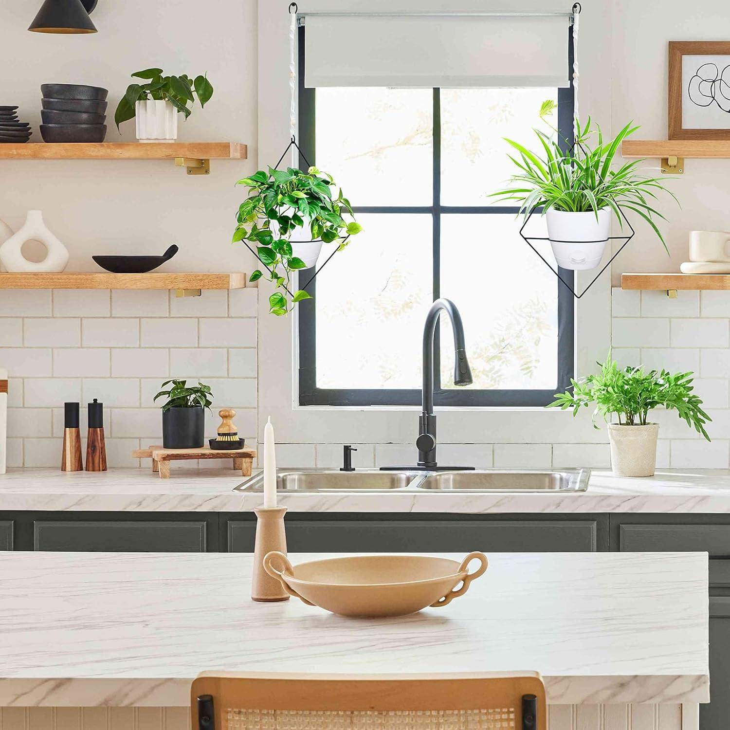 Macetas Colgantes Autorriego Koalaime 15.24 cm - 2 Piezas