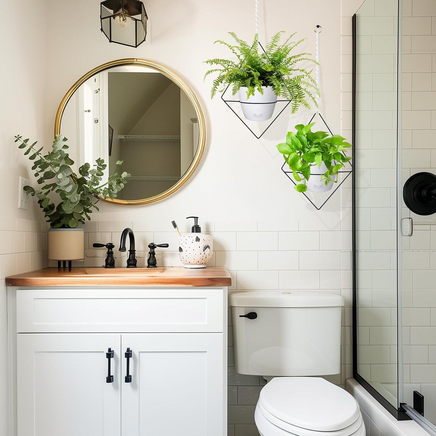 Macetas Colgantes Autorriego Koalaime 15.24 cm - 2 Piezas